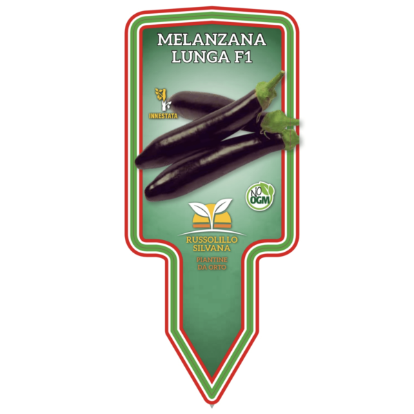 melanzane